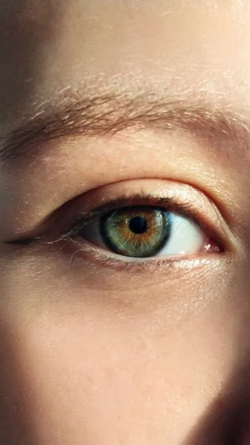 Close-up of a groomed brow following its natural arch