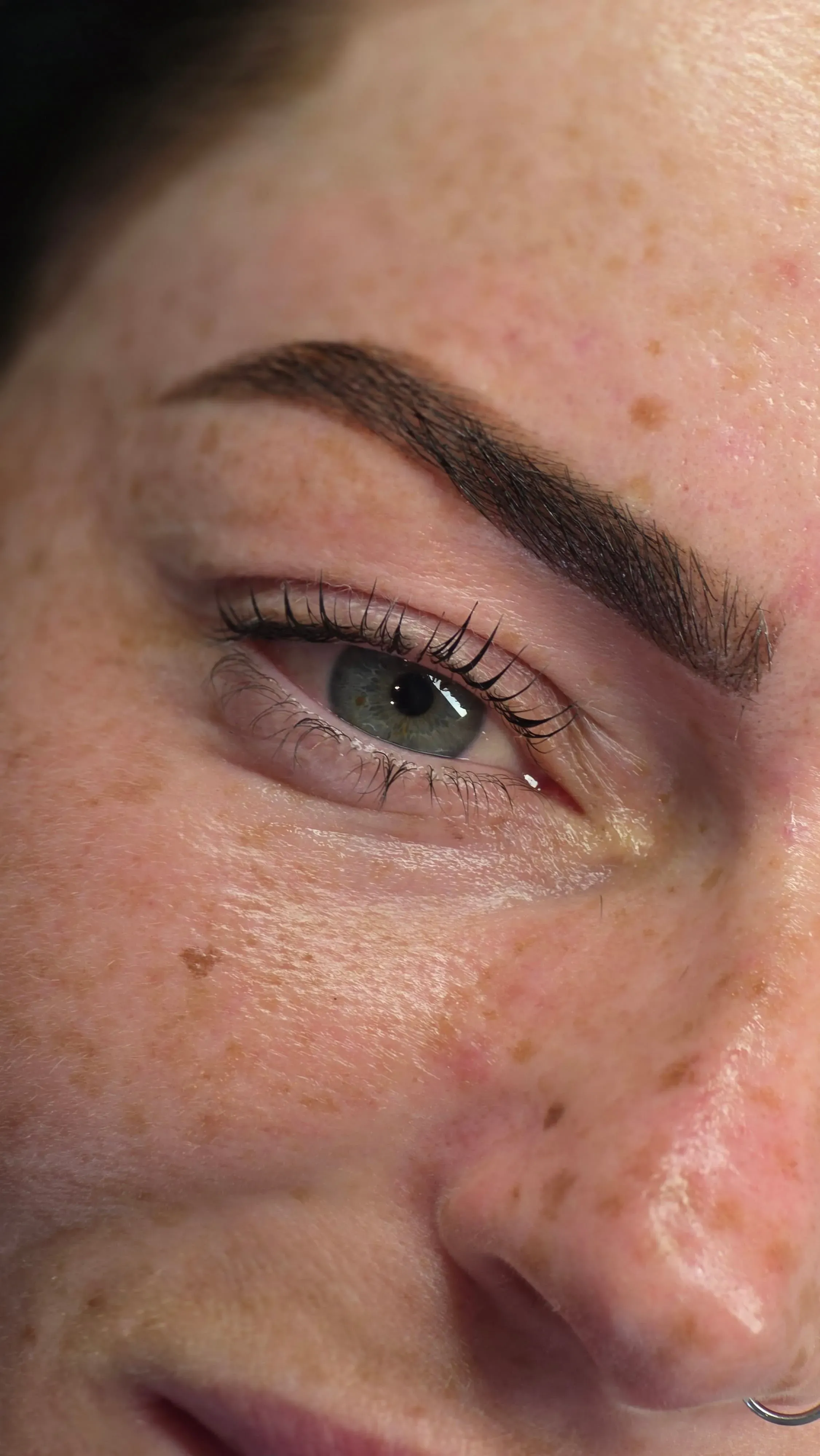 A finished brow lamination and tint on a client, brushed up and softly defined